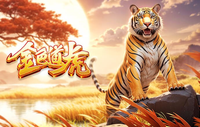 英超青年杯首登中国  石家庄功夫作为中甲唯一球队参赛